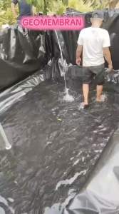 Plastik hdpe geomembran tebal 200 micron berbagai ukuran ( kolam ikan & Terpal tambak )