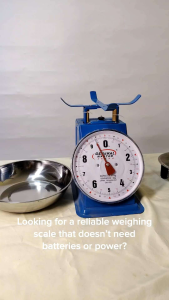 General Master Weighing Scale (10 kg capacity)