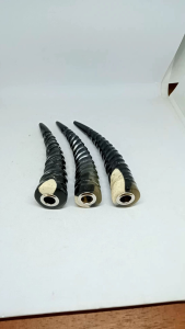 Padutan Pipa Once Tanduk Kerbau Hitam Motif Uli H131