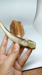 once pipa sedotan tanduk kerbau bule asli dan original h138