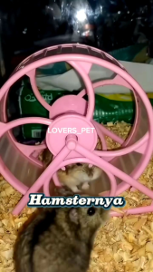 Kincir Hamster/Rolling Hamster x8/ Kincir angin hamster /mainan hamster