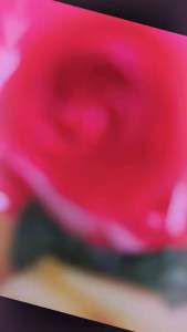 เหรียญโปรยทานดอกกุหลาบโลลิตา แพ็คคละ 50 ตัว (ใส่)เหรียญให้เรียบร้อย) งานบุญ งานบวช