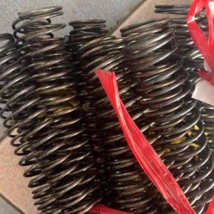 Lò xo nén phi 24(Sợi 1.523mm dài 30cm)