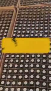 4free1Parfum halal mymozza 30ml ori100% tidak membekas wangi awet tahan lama