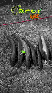 Soft Frog Umpan Casting Gabus 4cm