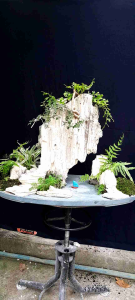 Tiểu Cảnh Trồng Bonsai Đá Thấm Thủy Ôm Cây Hòn Non Bộ MiNi