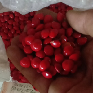 Biji Saga Merah 1kg