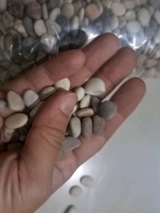 batu hiasan taman 1 kg batupancawarna / batu coral tanaman hias alam aquarium hiasan 1kg