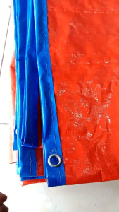 TERPAL PLASTIK A5 UK 3×5 METER SERBAGUNA