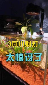 YUCHUSE Aquarium LED Light Multi Color Adjustable LED Spotlight Lampu Akuarium Premium