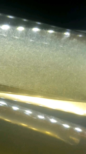 Buy 2 Free 1 🔥🔥Vinegar Eels(Turbatrix aceti) Instant Starter Culture 30ML( Micro Worms for fish fry)