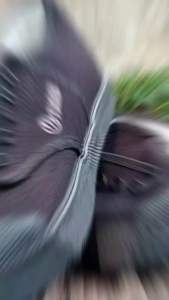 รองเท้าผ้าใบ Tiger 205 พื้นสีเขียว รองเท้านักเรียน สีน้ำตาล/ขาว/ดำ แบรนด์ Chappy