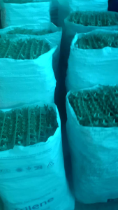 penutup bunga jual per 250 grm