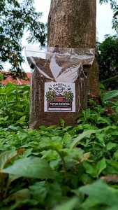 Pupuk Kompos Mahesa Farm Kohe Domba Murni Kering Halus Untuk Tanaman Kesayangan Anda