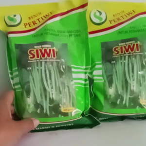 Benih Buncis Siwi Unggul & Bermutu (Pertiwi 500 Gr)