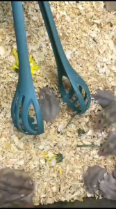 ALAT PENANGKAP HAMSTER TANPA DIGIGIT