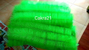 kakaban media bertelur ikan 100 cm diameter 15 cm