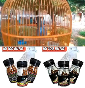 PROMO!!!  JAMU PERKUTUT EXTRA ISI 100 BUTIR penggacor pekutut puter tekukur pil apbn prbiotic obat cepat gacor jamu perkutut bangkok dan lokal malas bunyi vitamin burung puter derkuku tekukur pil sarang burung walet sangkar pakan burung manggung bocor jpj