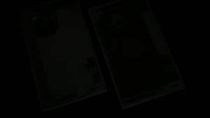 WLONS Forever Clear Case iPhone 16 Pro Max/16 Pro/15 Pro Max/15Plus/14 Pro Max/14 Pro(Anti-Yellowish)