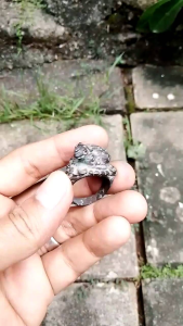 Cincin kuno symbol Kebo lajer
