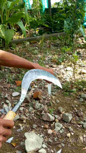 arit rumput Super tajam Sabit baja Asli pande sudah disepuh arit rambanan