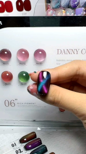 Set sơn gel mắt mèo đa tầng 8 màu Danny Coll ( tặng kèm bảng màu )