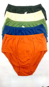 ELAINE AVON MAXI 5N1 FULL COVERAGE PLAIN PANTY