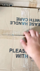 1 Box Fork 25pcs by 100pack (2500pcs)