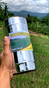 Tali Perak Pengusir Burung Pipit Di Sawah Panjang 800 Meter