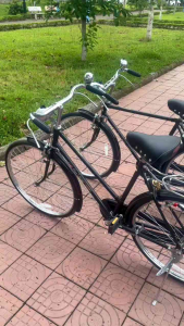 XE ĐẠP PHƯỢNG HOÀNG NAM PHANH ĐŨA