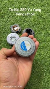 Treble 250 YuYang hàng nhập khẩu chuyên loa karaoke loa xách tay (1 cái)