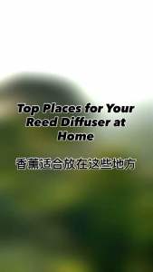 Shiora Lavender Reed Diffuser | Aromatherapy Series | 100ml | 200ml