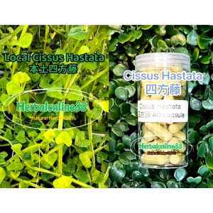 Cissus Hastata 🌱四方藤痔疮胶囊 40 capsule