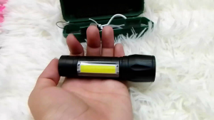 Mini Flashlight (USB Charge)