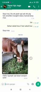 VGT Nutrisi Ternak: Suplemen Kesehatan & Peningkatan Kinerja