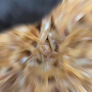 【江鱼仔】现炸香脆｜Ikan Bilis Goreng Asli｜Fried Anchovies Original