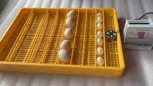 Khay Đảo Trứng Tự Động Đa Năng Ánh Dương Khay Trứng Màu Vàng Khay Trứng Điện Tử Bảo Hành - Lazada