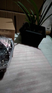 Lampu Depan Honda Astrea Legenda2 Reflektor Legenda2