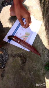 Pisau Dapur Tahan Lama: Pisau Dapur Skinner PB 15cm Gagang Lengkung Mini