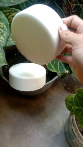 Dop 4 inch Type D tutup pipa pvc