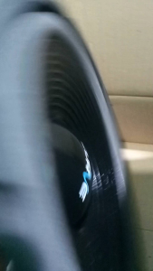 Speaker Curve Woofer 10\" Inch 25H100SWUPP 300 Watt Original