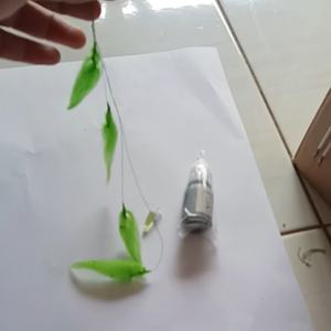 Satu Pcs Rangkaian 4+2Essen: Produk Berkualitas Tinggi