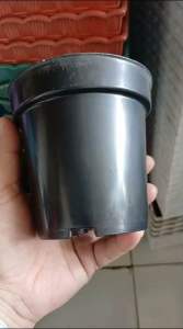 Pot Srondol Warna Hitam Lusinan Isi 12 Pcs / Pot Srondol Polos Untuk Bibit Tanaman Warna Hitam Ukuran 12 cm