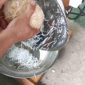 Máy nạo dừa sợi bằng điện