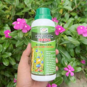 VIMY BO KẼM BRASS 14 - sử dụng giai đoạn đòngtrổ