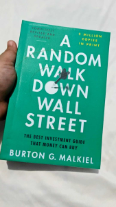 A Random Walk Down Wall Street: The Best Investment Guide That Money Can Buy - Paperback
