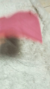 Isi 4 pics size XXL Kaos polos Jumbo Wanita Lengan Pendek Model V Neck Atasan cewek Terbaru oversize