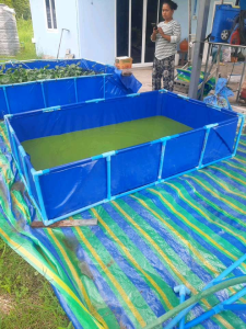 กระชังบกบอกผ้าใบ PE รุ่นใหม่ 50 เซนติเมตรราคาพร้อมโครง 1 * 1.5 ลึก