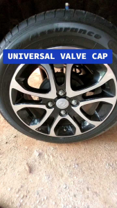 Rays valve cap universal valve cap penutup tayar universal rays universal cap penutup angin kereta car accessories