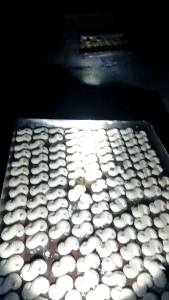 Roti leter Sinovasi roti Garut dan Roti Kering Jadul berbahan Tepung Tapioka, berat 200gr